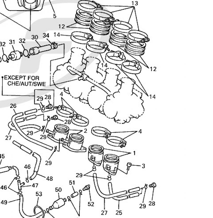 Thundercat 600 (YZF600R)
